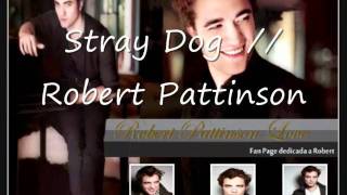 .::: Stray Dog Robert Pattinson :::.