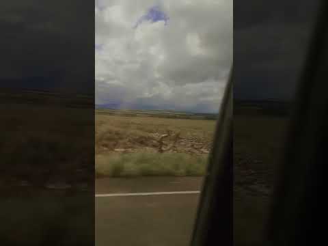 Via Nacional gran sabana#bolivar #turismo #venezuela #gransabana