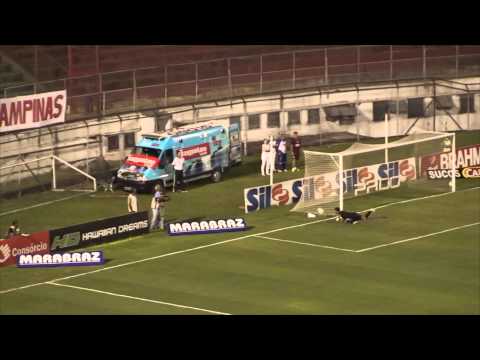 Melhores Momentos Portuguesa 1 X 2 Botafogo - Campeonato Paulista 2014