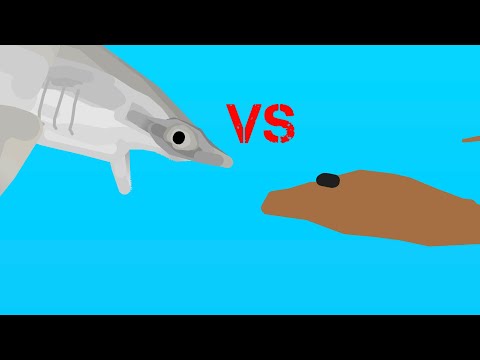 Hammerhead vs ￼￼￼￼Stingray ￼(Sitck nodes pro