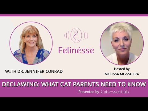 Dr. Jennifer Conrad: Declawing: What Cat Parents Need to Know | Felinésse Podcast | CatsEssentials