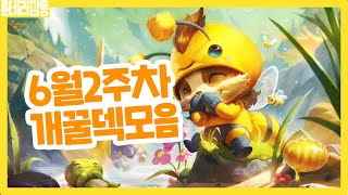 6월 2주차 메타 분석 + 꿀덱