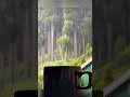 SUASANA NGOPI PAS HUJAN BIKIN HALU STORY WA IG Akushorts Shorts