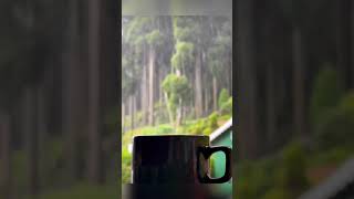 Download lagu SUASANA NGOPI PAS HUJAN BIKIN HALU // STORY WA IG #Akushorts #shorts mp3 Download lagu SUASANA NGOPI PAS HUJAN BIKIN HALU // STORY WA IG #Akushorts #shorts mp3