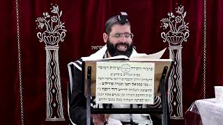 זבחים דף קי"ג ע"ב ¤ הרב נתנאל אברז'ל ¤ בית הכנסת "בית מרדכי" (מוסדות תורת דוד) - התמונה מוצגת ישירות מתוך אתר האינטרנט יוטיוב. זכויות היוצרים בתמונה שייכות ליוצרה. קישור קרדיט למקור התוכן נמצא בתוך דף הסרטון