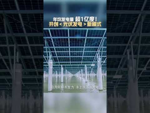 年均发电量超1亿度！我国首座潮光互补型光伏电站来了 #还有诗和远方