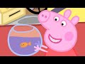 Goldie The Fish And Funfair Peppa Pig Full Episodes