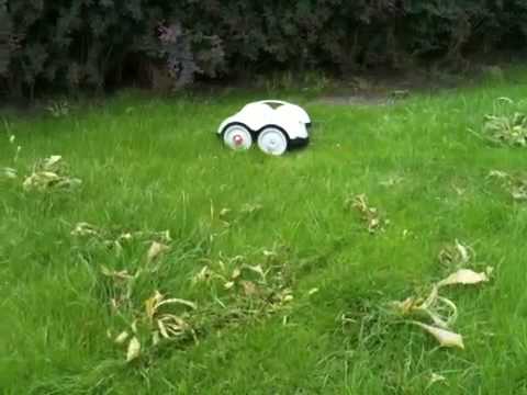 Robot lawn mower | Kosiarki roboty | Wiper Blitz