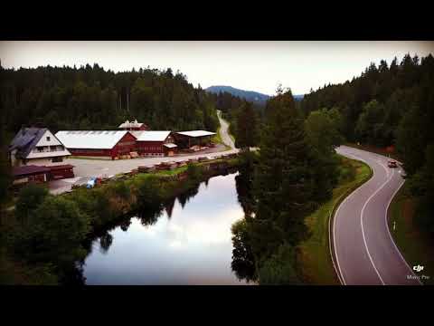 Happy Birthday, Michi!