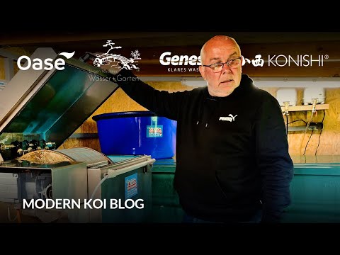 Modern Koi Blog #6025 - Harry's lovingly built and furnished filter house
