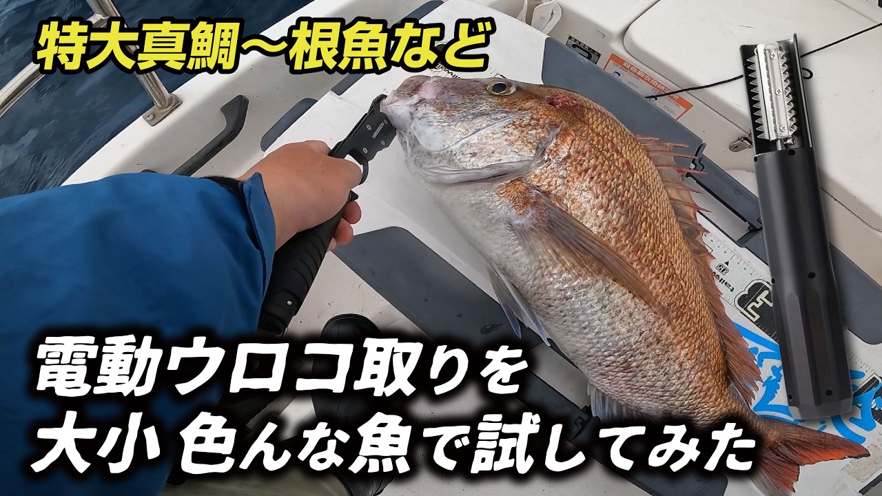 【鯛ラバ】超激安の電動ウロコ取りで大小さまざまなサイズのウロコを取ってみた【NEO374・インショアゲーム・ミニボート】山口県