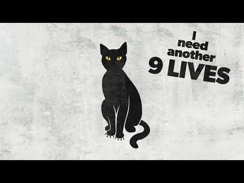 9 Lives - Pecos & The Rooftops