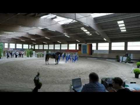 Landesmeisterschaft Rheinland-Pfalz - Herxheim - M*-Team VFZ Mainz-Ebersheim III