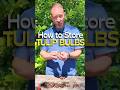How to Store Your Tulip Bulbs (and Why You Should) #shorts