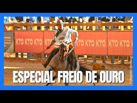Campeões do Freio de Ouro 2023 -CAVALO CRIOULO