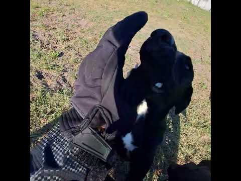 ALDEA SAN ANTONIO ENTRE RIOS.