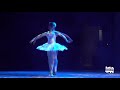 Black Swan Ballet Duet