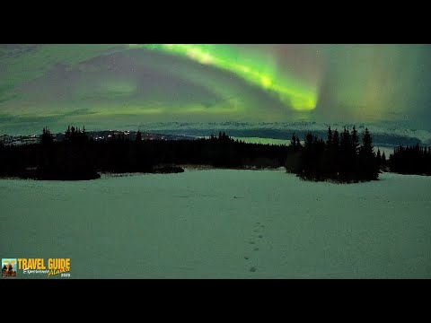 Homer Alaska Northern lights Travel guide book P1 1/21/26
