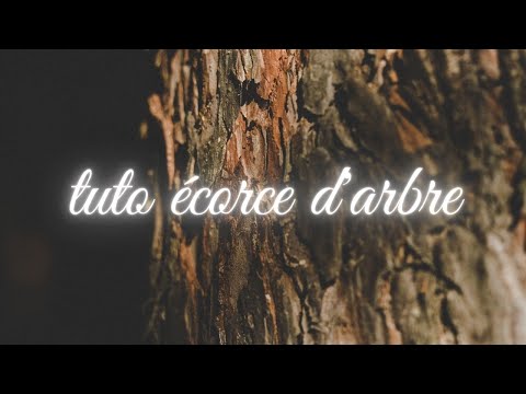 tutoriel écorce