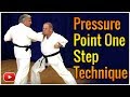 Mastering The Martial Arts Pressure Point One Step Techniques
