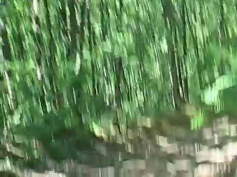 Off-road Romania, Tufaru, Olt