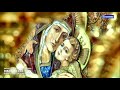 Catedrala Patriarhala Paraclisul Sf Cuv Dimitrie Cel Nou