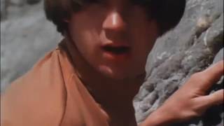 Monkees "Good Times"