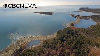 Nova Scotia's would-be whale sanctuary one step closer to reality