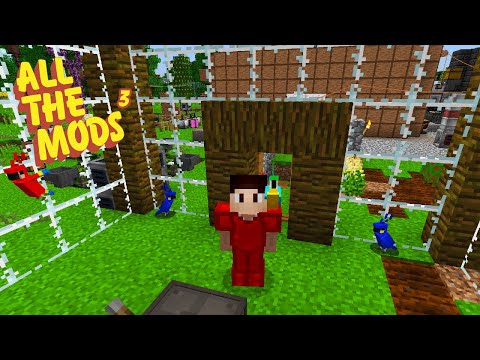 Papageien mit Parität! 💠 ATM3 #040