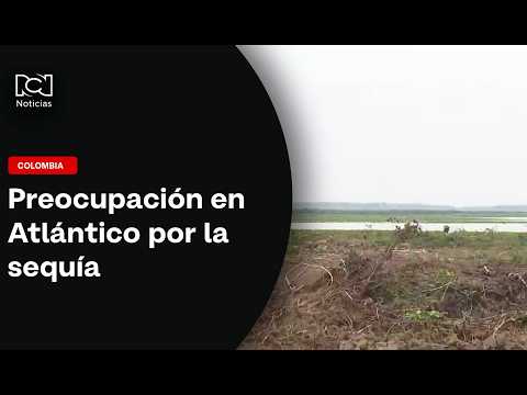 Crítica situación en el Atlántico por pérdida de cultivos durante temporada de sequía
