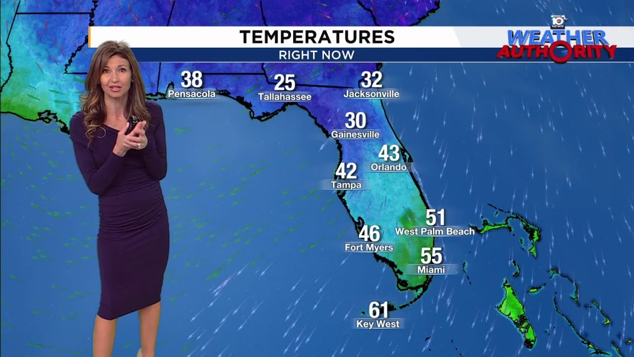 Artic blast lowers South Florida temps to 50s