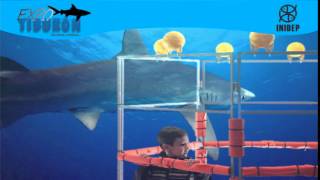 DIA 2 Expo Tiburon152