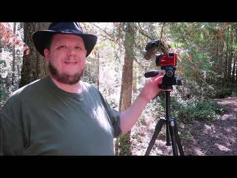 Nikon Coolpix W300 - A Year with the Gear