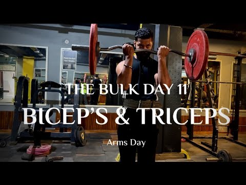 The Bulk Day 11 | Biceps & Triceps - @newbieMehul