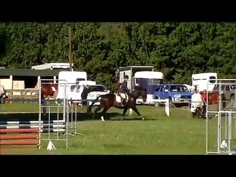 Felix "SBF Star Appeal"  (SOLD)- First ESNZ Outing