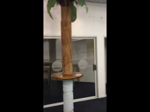 Bottom Floor/Ground Level/Mezzanine