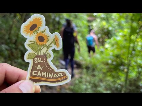 Sal a caminar - Roy Brown y Tony Croatto