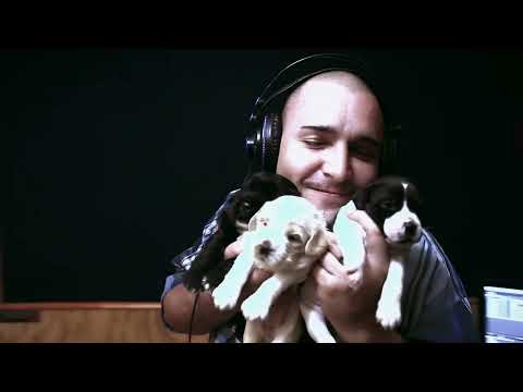 Dinerozucio   Vertigo Ft  Hechyzero  Prod by Geoenezetao by @Alucinatifilms