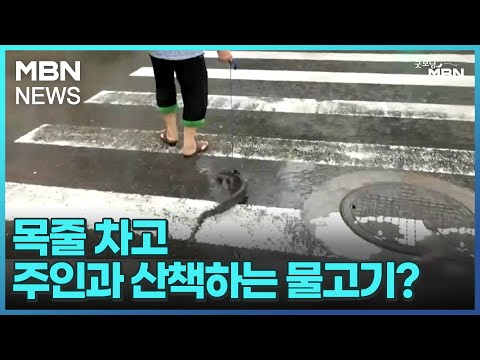 아이콘