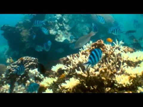 Vilana   More Explosive DJ's RMX