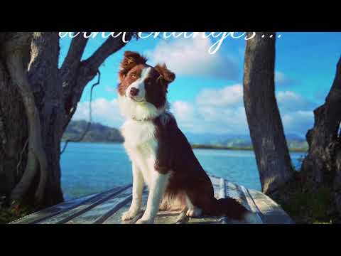 Azmin (up to 10 months)