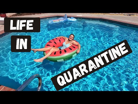 Quarantine Chronicles Episode 3