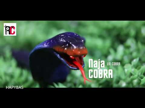 RC Snake Naja Cobra Viper Infrared Remote Control Toy