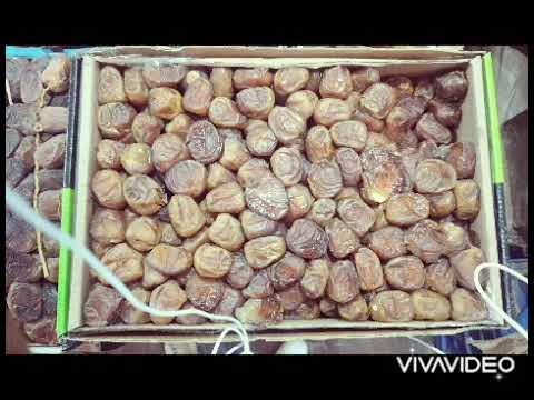 promotion de tmar Mejhoul Merhba