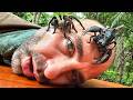These Bugs Sent Me to the Hospital!