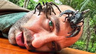 These Bugs Sent Me to the Hospital!
