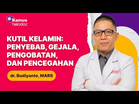 Genital Warts: Causes, Symptoms, Treatment, and Prevention