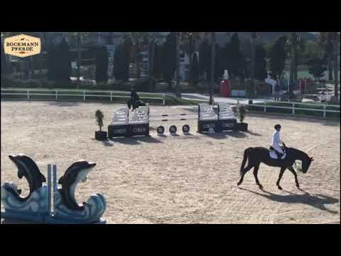 "Comfort" - 6 j. H v. Christian x Last Liberty