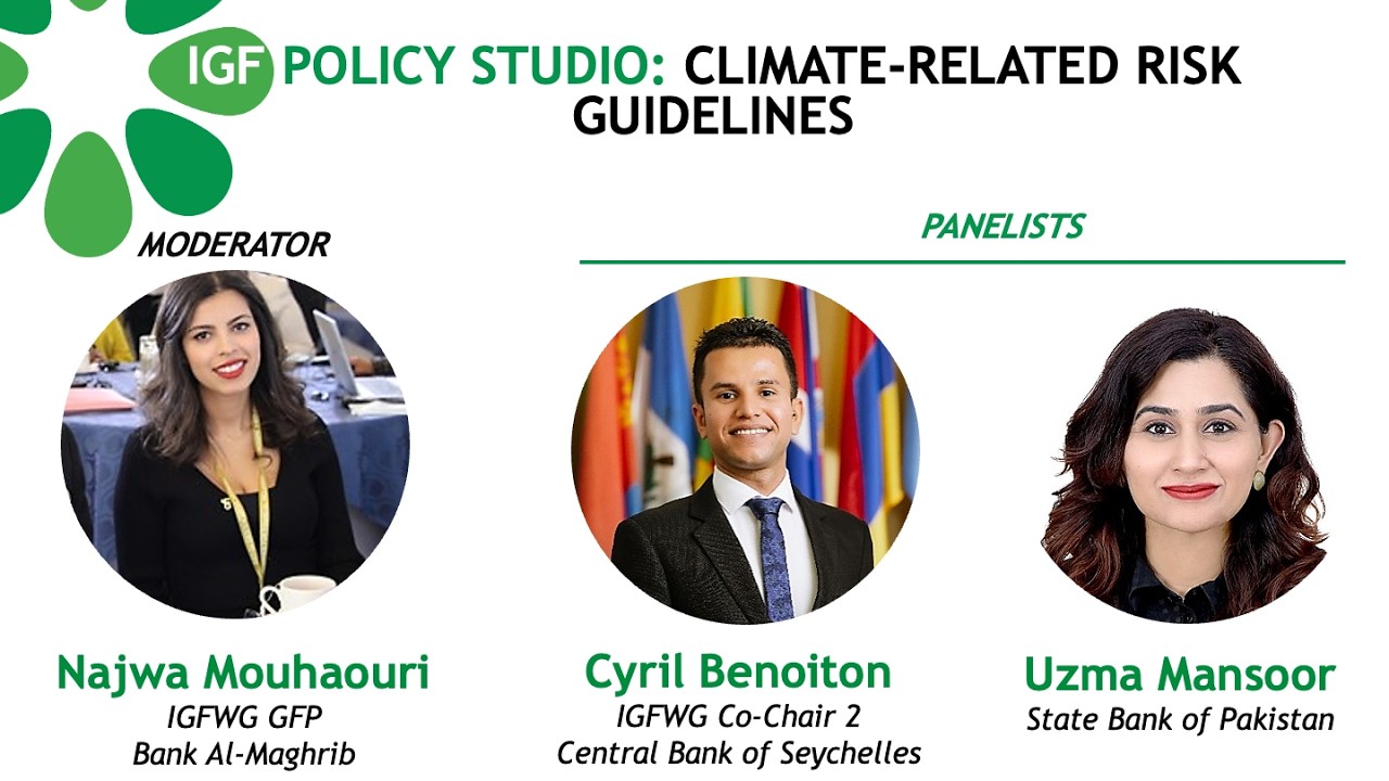 2026 Virtual Working Group Meetings - IGFWG Technical Session on Climate-Related Risk Guidelines