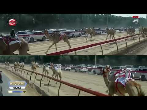  ش 1 شداد زمول انتاج (سرحان) علي سهيل اليبهوني الظاهري 12:28:17 ، ختامي المرموم 2026/4/1 